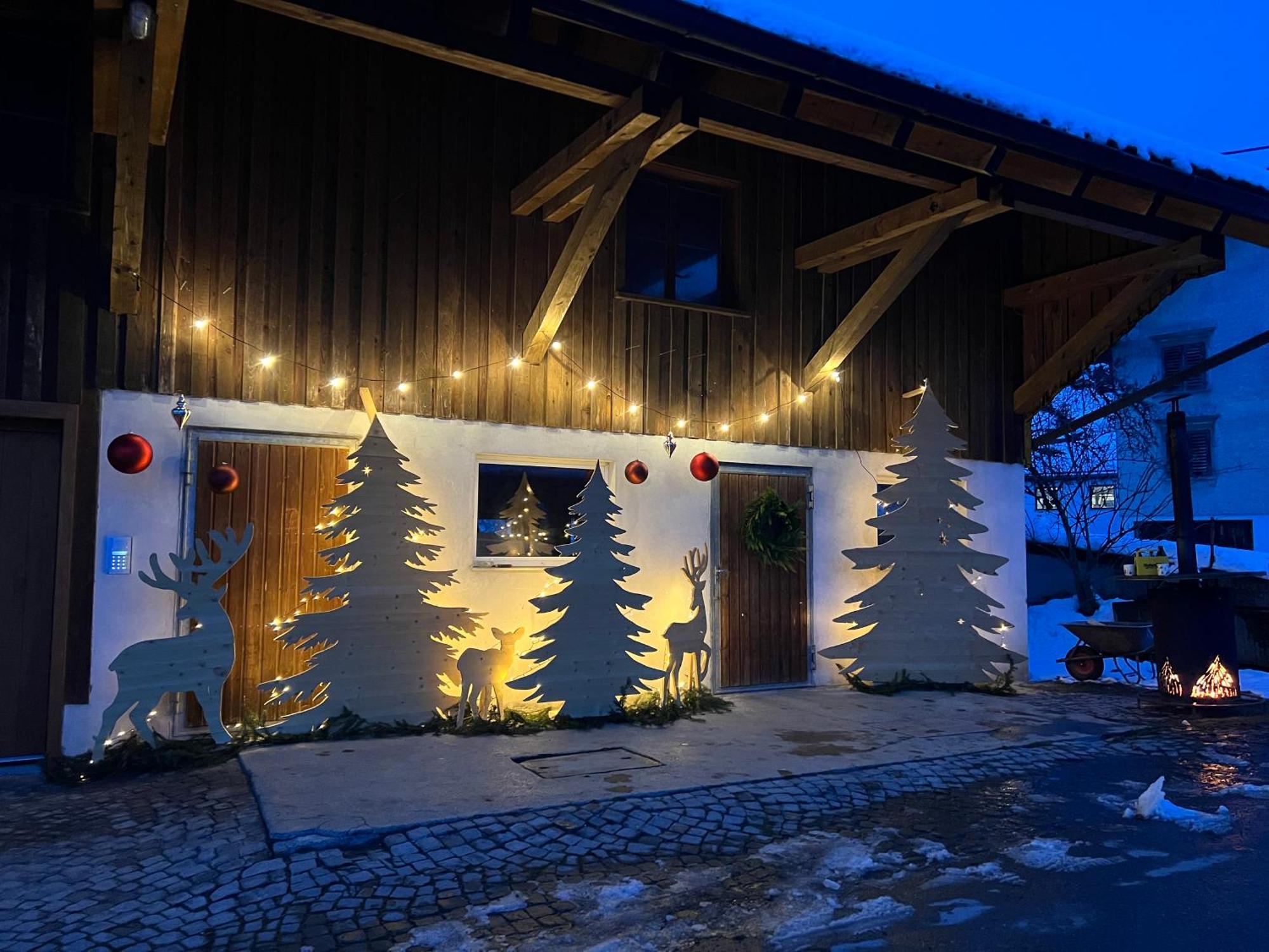 Chalet Vinzenz, Bildstein- Mit Privatem Ski- Und Fahrradraum Экстерьер фото
